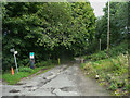 Footpath on driveway to Springvale Physic Garden, Penistone