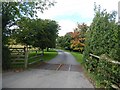 Driveway to Shepherd