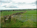 Footpath off Pond Common Lane