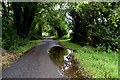 Water lying along Dunavon Road