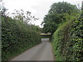 Hedge-lined road, Llanarth, Monmouthshire