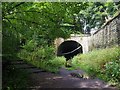 Eastern portal of Brinnington Tunnel