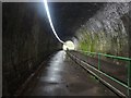 In the Brinnington Tunnel