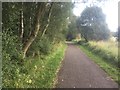 NS9591 : West Fife Cycleway by Richard Webb