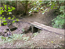 SE1228 : Annet Hole Well and footbridge, Shelf by Humphrey Bolton