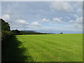 Grassland off Kilgram Lane