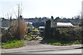 Ramslye Allotments