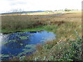 Pond near track to Drumtee