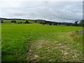 Grazing, Wensleydale