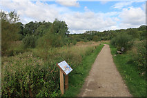 TL2171 : Path past wildlife lake, Hinchingbrooke Country Park by Hugh Venables