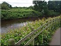 The River Mersey  at Cheadle Heath