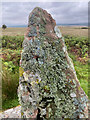 NR9032 : Standing stone on Machrie Moor by John Allan