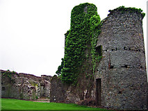 S7114 : Castles of Leinster: Dunbrody, Wexford (2) by Garry Dickinson