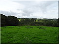 Grazing and woodland near Caldbergh