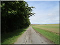 Farm track at Worlaby