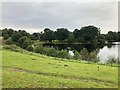 Pasture and Western Edge of Rossmere