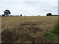 Stubble field, Low Ellington