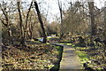 Boardwalk on the LOOP