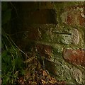 Bench mark, garden wall at Walnut Tree Cottage