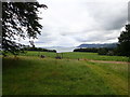 SH6072 : View west from Penrhyn Castle grounds by Eirian Evans