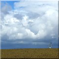 Wheatfield with clouds ? 2