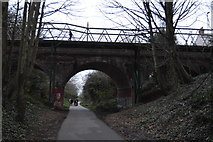 SY6777 : Buxton Road Bridge, Rodwell Trail by N Chadwick