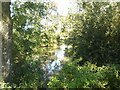 Pond at Billings Hill Farm