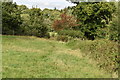 Footpath near Collickmoor Farm