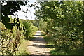 Bridleway, East Malling Heath