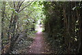 Bridleway, East Malling Heath