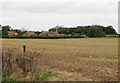 Forest across the field