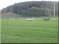 Cross-country jumps at Auchlishie