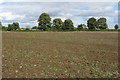 Public footpath across the field