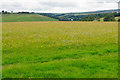 Meadow near Winstitchen Farm