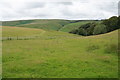 Fields near Winstitchen Farm