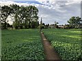 Footpath into Kings Sutton