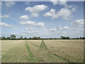 Footpath from Arnesby to Wistow