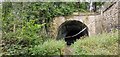 Tunnel below Brinnington Mount