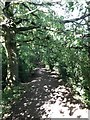 Footpath running alongside Middlewood Way