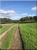 SJ9684 : Track near Elmerhurst Cottage by Philip Cornwall