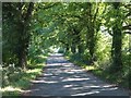 Country road approaching Coddington Cross