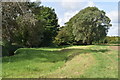 Grassy path beside the Pix Brook, Arlesey