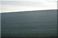 SY6888 : Sloping pasture near Herringston Barrow by N Chadwick