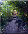 Footbridge on path between Gwendreath Farm and Kuggar