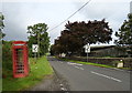 K6 telephone box on the road leaving  Sawley 