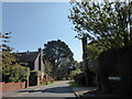 Looking from Vicarage Lane into Stiles Gardens