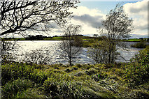 H5777 : Lough Fingrean, Loughmacrory by Kenneth  Allen