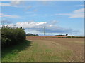 Farmland off Rudgate