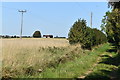 Bridleway past College Farm