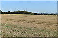 Field south of Down Barn